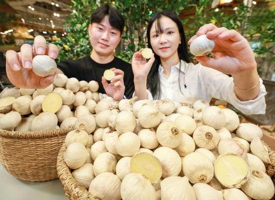 Employees introduce a new variety of garlic at The Hyundai Seoul in Yeongdeungpo District, western Seoul, on Aug. 22. [HYUNDAI DEPARTMENT STORE GROUP] 